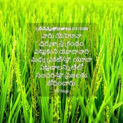 Picture 04 - 2 దినవృత్తాంతాలు 17:9 TELIRV - వారు యెహోవా - Bible Verse Picture