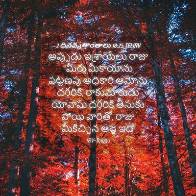 Picture 04 - 2 దినవృత్తాంతాలు 18:25 TELIRV - అప్పుడు ఇశ్రాయేలు - Bible Verse Picture