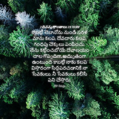 Picture 04 - 2 దినవృత్తాంతాలు 2:9 TELIRV - కాబట్టి లెబానోను - Bible Verse Picture