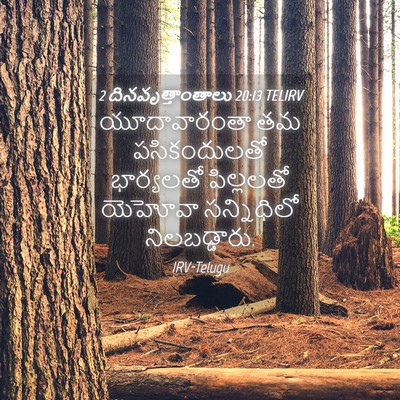 Picture 04 - 2 దినవృత్తాంతాలు 20:13 TELIRV - యూదావారంతా తమ - Bible Verse Picture