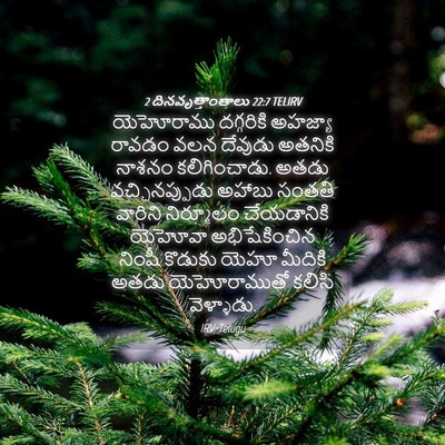 Picture 04 - 2 దినవృత్తాంతాలు 22:7 TELIRV - యెహోరాము దగ్గరికి - Bible Verse Picture