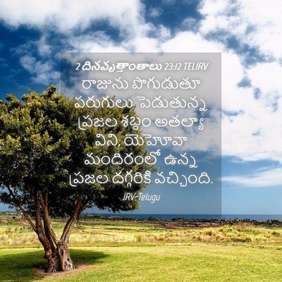 Picture 04 - 2 దినవృత్తాంతాలు 23:12 TELIRV - రాజును పొగుడుతూ - Bible Verse Picture