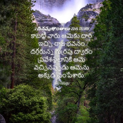 Picture 04 - 2 దినవృత్తాంతాలు 23:15 TELIRV - కాబట్టి వారు - Bible Verse Picture