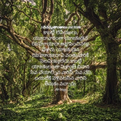Picture 04 - 2 దినవృత్తాంతాలు 23:8 TELIRV - కాబట్టి లేవీయులు, - Bible Verse Picture