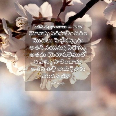 Picture 04 - 2 దినవృత్తాంతాలు 24:1 TELIRV - యోవాషు - Bible Verse Picture
