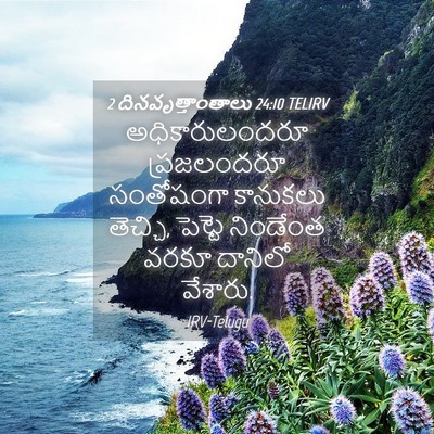 Picture 04 - 2 దినవృత్తాంతాలు 24:10 TELIRV - అధికారులందరూ - Bible Verse Picture