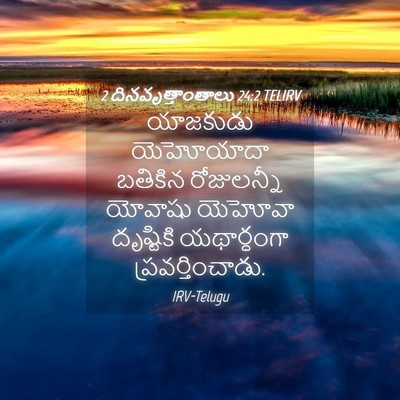 Picture 04 - 2 దినవృత్తాంతాలు 24:2 TELIRV - యాజకుడు యెహోయాదా - Bible Verse Picture