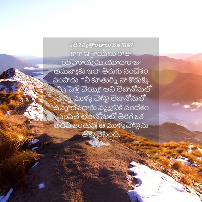 Picture 04 - 2 దినవృత్తాంతాలు 25:18 TELIRV - కాగా ఇశ్రాయేలు - Bible Verse Picture