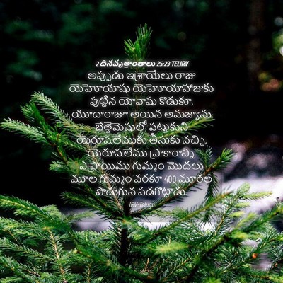 Picture 04 - 2 దినవృత్తాంతాలు 25:23 TELIRV - అప్పుడు ఇశ్రాయేలు - Bible Verse Picture
