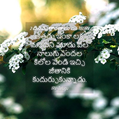 Picture 04 - 2 దినవృత్తాంతాలు 25:6 TELIRV - అతడు ఇంకా లక్ష - Bible Verse Picture