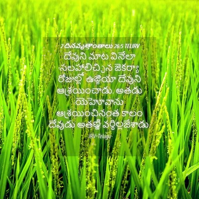 Picture 04 - 2 దినవృత్తాంతాలు 26:5 TELIRV - దేవుని మాట వినేలా - Bible Verse Picture
