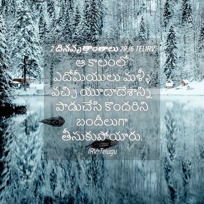 Picture 04 - 2 దినవృత్తాంతాలు 28:16 TELIRV - ఆ కాలంలో - Bible Verse Picture