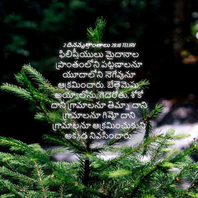 Picture 04 - 2 దినవృత్తాంతాలు 28:18 TELIRV - ఫిలిష్తీయులు - Bible Verse Picture