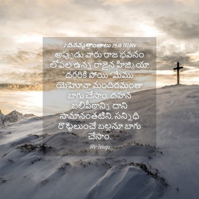 Picture 04 - 2 దినవృత్తాంతాలు 29:18 TELIRV - అప్పుడు వారు రాజ - Bible Verse Picture