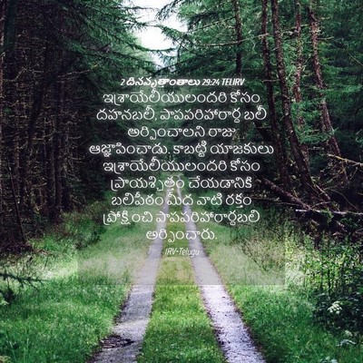 Picture 04 - 2 దినవృత్తాంతాలు 29:24 TELIRV - ఇశ్రాయేలీయులందరి - Bible Verse Picture