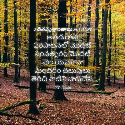 Picture 04 - 2 దినవృత్తాంతాలు 29:3 TELIRV - అతడు తన పరిపాలనలో - Bible Verse Picture