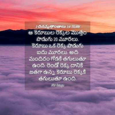 Picture 04 - 2 దినవృత్తాంతాలు 3:11 TELIRV - ఆ కెరూబుల రెక్కల - Bible Verse Picture