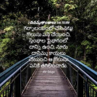 Picture 04 - 2 దినవృత్తాంతాలు 3:16 TELIRV - గర్భాలయంలో - Bible Verse Picture