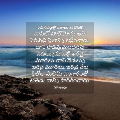 Picture 04 - 2 దినవృత్తాంతాలు 3:8 TELIRV - దానిలో సొలొమోను - Bible Verse Picture