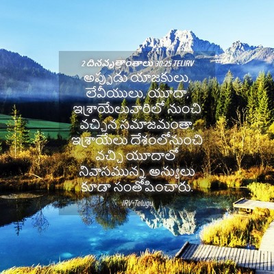 Picture 04 - 2 దినవృత్తాంతాలు 30:25 TELIRV - అప్పుడు యాజకులు, - Bible Verse Picture