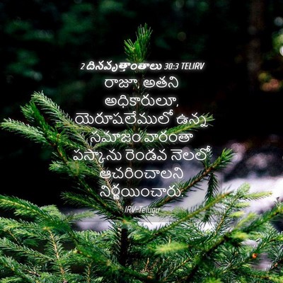 Picture 04 - 2 దినవృత్తాంతాలు 30:3 TELIRV - రాజూ, అతని - Bible Verse Picture