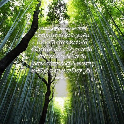 Picture 04 - 2 దినవృత్తాంతాలు 31:9 TELIRV - హిజ్కియా ఆ - Bible Verse Picture