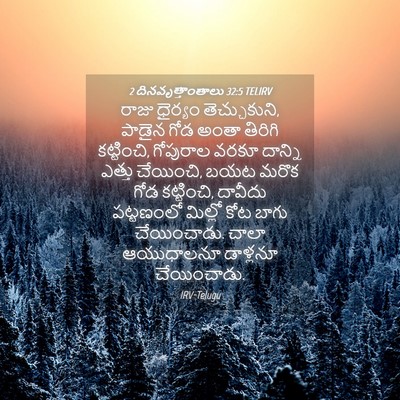 Picture 04 - 2 దినవృత్తాంతాలు 32:5 TELIRV - రాజు ధైర్యం - Bible Verse Picture