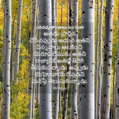 Picture 04 - 2 దినవృత్తాంతాలు 33:13 TELIRV - అతడు ప్రార్థన - Bible Verse Picture