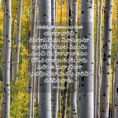 Picture 04 - 2 దినవృత్తాంతాలు 33:9 TELIRV - యూదావారిని - Bible Verse Picture