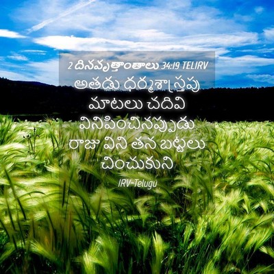 Picture 04 - 2 దినవృత్తాంతాలు 34:19 TELIRV - అతడు - Bible Verse Picture