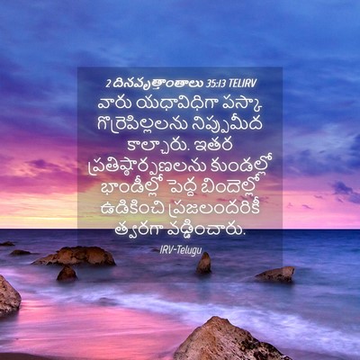 Picture 04 - 2 దినవృత్తాంతాలు 35:13 TELIRV - వారు యధావిధిగా - Bible Verse Picture