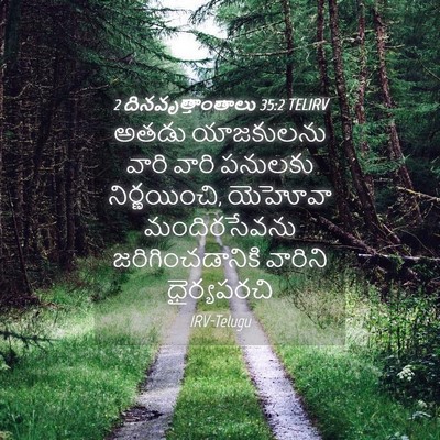Picture 04 - 2 దినవృత్తాంతాలు 35:2 TELIRV - అతడు యాజకులను - Bible Verse Picture