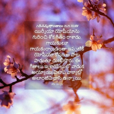 Picture 04 - 2 దినవృత్తాంతాలు 35:25 TELIRV - యిర్మీయా యోషీయాను - Bible Verse Picture