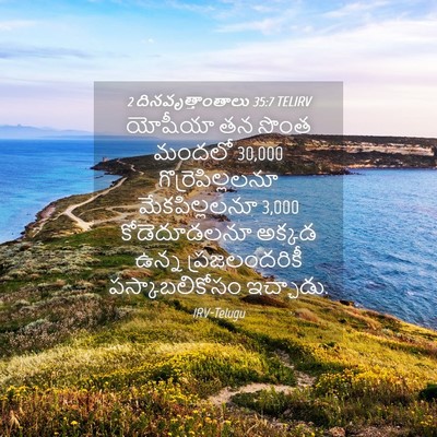 Picture 04 - 2 దినవృత్తాంతాలు 35:7 TELIRV - యోషీయా తన సొంత - Bible Verse Picture