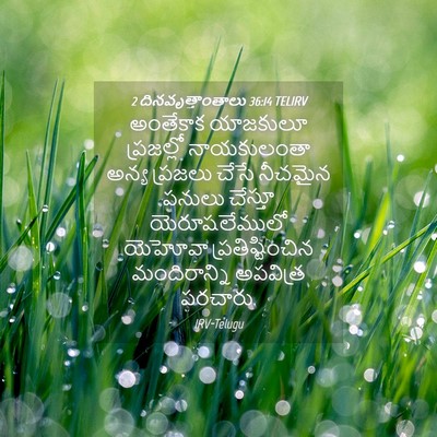 Picture 04 - 2 దినవృత్తాంతాలు 36:14 TELIRV - అంతేకాక యాజకులూ - Bible Verse Picture