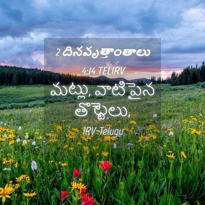 Picture 04 - 2 దినవృత్తాంతాలు 4:14 TELIRV - మట్లు, వాటిపైన - Bible Verse Picture
