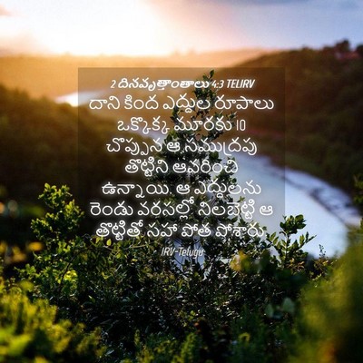 Picture 04 - 2 దినవృత్తాంతాలు 4:3 TELIRV - దాని కింద ఎద్దుల - Bible Verse Picture