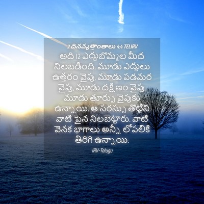 Picture 04 - 2 దినవృత్తాంతాలు 4:4 TELIRV - అది 12 ఎద్దుబొమ్మల - Bible Verse Picture