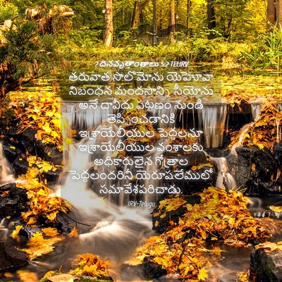 Picture 04 - 2 దినవృత్తాంతాలు 5:2 TELIRV - తరువాత సొలొమోను - Bible Verse Picture