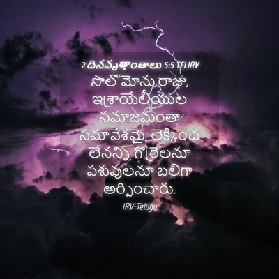 Picture 04 - 2 దినవృత్తాంతాలు 5:5 TELIRV - సొలొమోను రాజు, - Bible Verse Picture