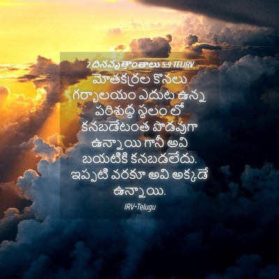 Picture 04 - 2 దినవృత్తాంతాలు 5:9 TELIRV - మోతకర్రల కొనలు - Bible Verse Picture