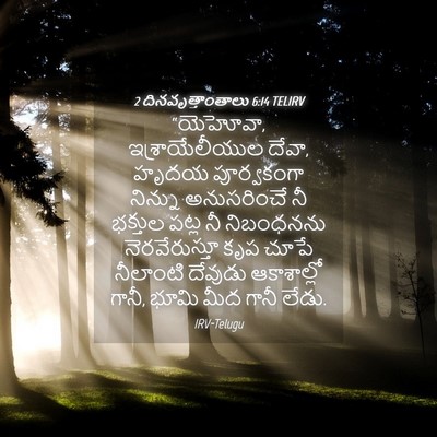 Picture 04 - 2 దినవృత్తాంతాలు 6:14 TELIRV - “యెహోవా, - Bible Verse Picture