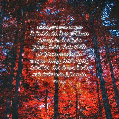 Picture 04 - 2 దినవృత్తాంతాలు 6:21 TELIRV - నీ సేవకుడు, నీ - Bible Verse Picture
