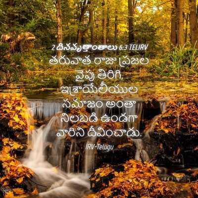 Picture 04 - 2 దినవృత్తాంతాలు 6:3 TELIRV - తరువాత రాజు ప్రజల - Bible Verse Picture