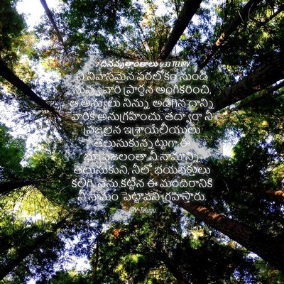 Picture 04 - 2 దినవృత్తాంతాలు 6:33 TELIRV - నీ నివాసమైన - Bible Verse Picture