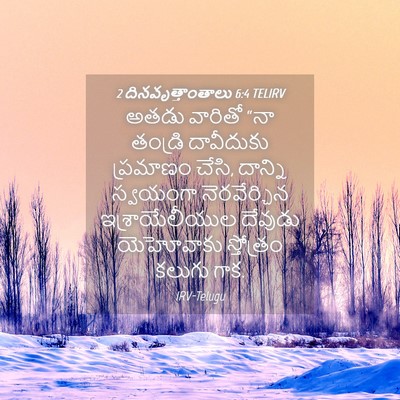Picture 04 - 2 దినవృత్తాంతాలు 6:4 TELIRV - అతడు వారితో “నా - Bible Verse Picture