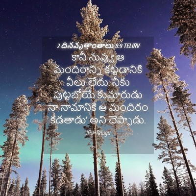 Picture 04 - 2 దినవృత్తాంతాలు 6:9 TELIRV - కానీ నువ్వు ఆ - Bible Verse Picture
