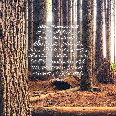 Picture 04 - 2 దినవృత్తాంతాలు 7:14 TELIRV - నా పేరు - Bible Verse Picture
