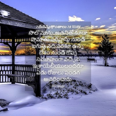 Picture 04 - 2 దినవృత్తాంతాలు 7:8 TELIRV - సొలొమోను, అతనితో - Bible Verse Picture