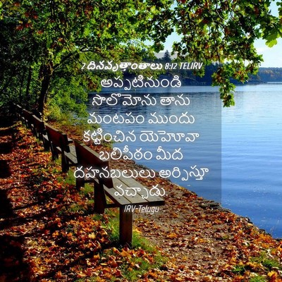 Picture 04 - 2 దినవృత్తాంతాలు 8:12 TELIRV - అప్పటినుండి - Bible Verse Picture